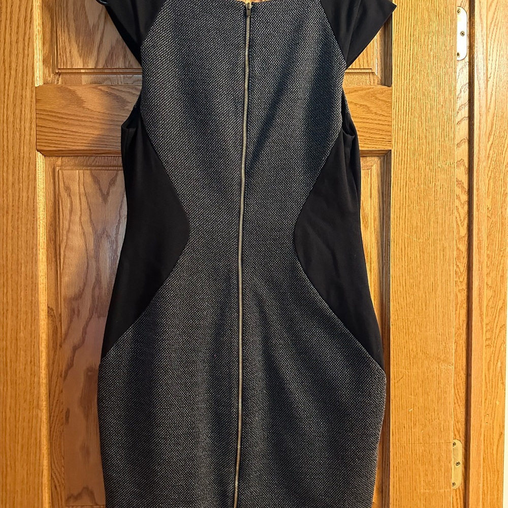 Express Dress - Picture 2 of 2